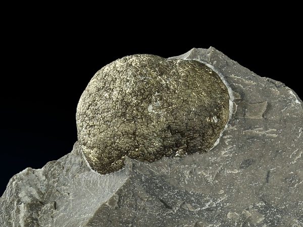 Pyrite, Hohenems-Unterklien quarry, Hohenems, Vorarlberg, Austria