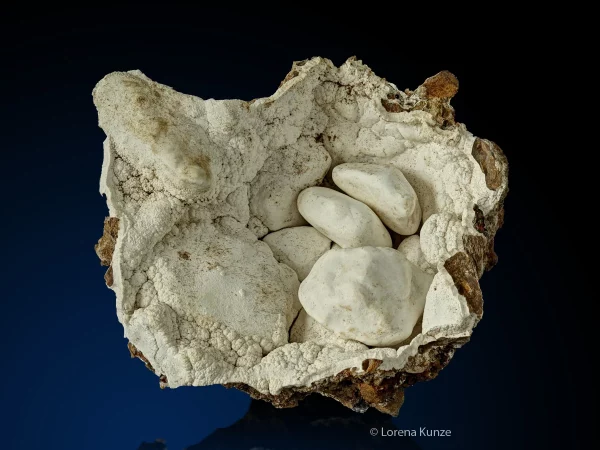 Aragonite, birds nest